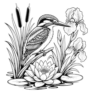 Arquivo de corte SVG PNG de martim-pescador, desenho linear de martim-pescador com lótus, taboas, íris, lírios-d'água, lagoa e pássaro