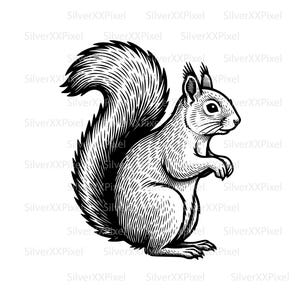 Puede incluir: Ilustración en blanco y negro de una ardilla en posición de pie. La ardilla tiene una cola grande y tupida y está detallada con sombreado cruzado. La imagen es un dibujo digital, con el texto "SilverXXPixel" repetido.