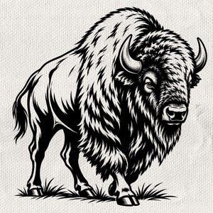 Puede incluir: Una ilustración gráfica en blanco y negro de un bisonte de pie de perfil, mirando hacia adelante. La obra presenta líneas de tinta de alto contraste que detallan el pelaje grueso, los cuernos curvos y la musculatura del animal sobre un fondo texturizado.