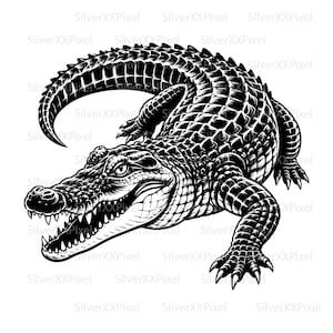 Alligator SVG PNG, Fierce Gator gravyrstil reptil för Cricut-projekt
