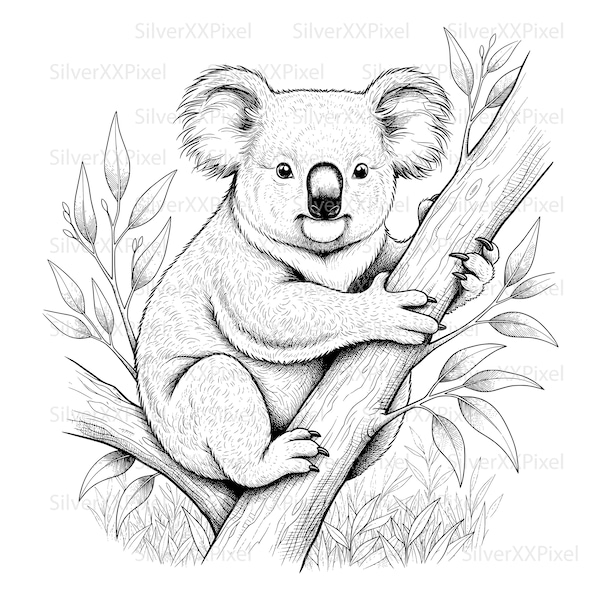 Koala SVG PNG, Nursery Wall Art, Baby Animal Clipart, Australian Wildlife Print