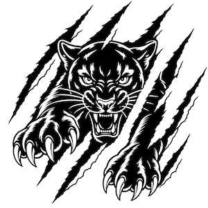 May include: A black and white graphic illustration of a snarling panther with bared teeth and extended claws. The design features sharp, diagonal claw marks slashing across the background, creating a dynamic effect of the animal breaking through.