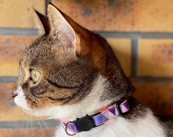 Collar antiasfixia para gatos personalizable