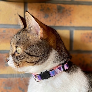 Collier personnalisé pour chat anti-étranglement