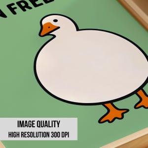 May include: A framed print featuring a white goose with an orange beak and orange feet on a light green background. The partial black text at the top reads FR. A white rectangular label at the bottom contains the black text IMAGE QUALITY HIGH RESOLUTION 300 DPI.