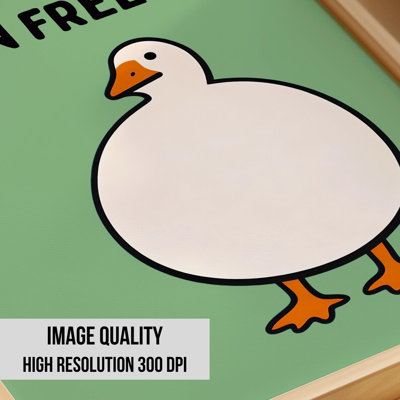 May include: A framed print featuring a white goose with an orange beak and orange feet on a light green background. The partial black text at the top reads FR. A white rectangular label at the bottom contains the black text IMAGE QUALITY HIGH RESOLUTION 300 DPI.