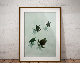 Sea Turtle Art Print: Tropical Ocean Animal Wall Decor