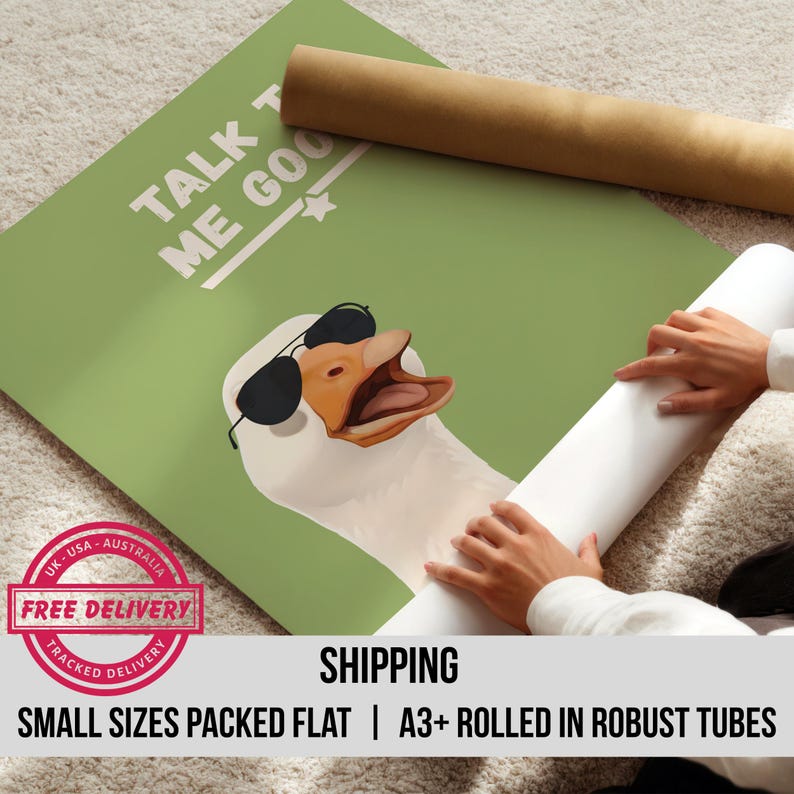 Silly Goose Print, Retro Movie Poster, Funky Home Theater Decor - Etsy