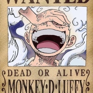 One Piece Wanted Poster 