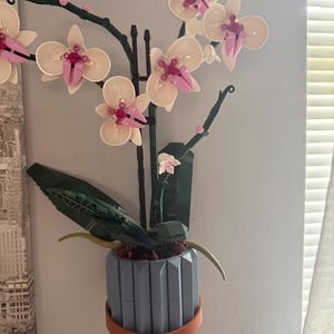 Pode incluir: Uma planta de orquídea Lego com flores brancas e rosa, folhas verdes e um vaso azul com base laranja. A planta é montada em uma parede, com uma janela e persianas ao fundo.