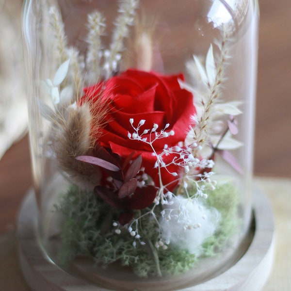 Rose éternelle rouge sous cloche et fleurs séchées