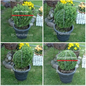 Topiary frame wire metal BALL GLOBE boxwood pruning shaping cutting green garden sculpture sphere zdjęcie 8