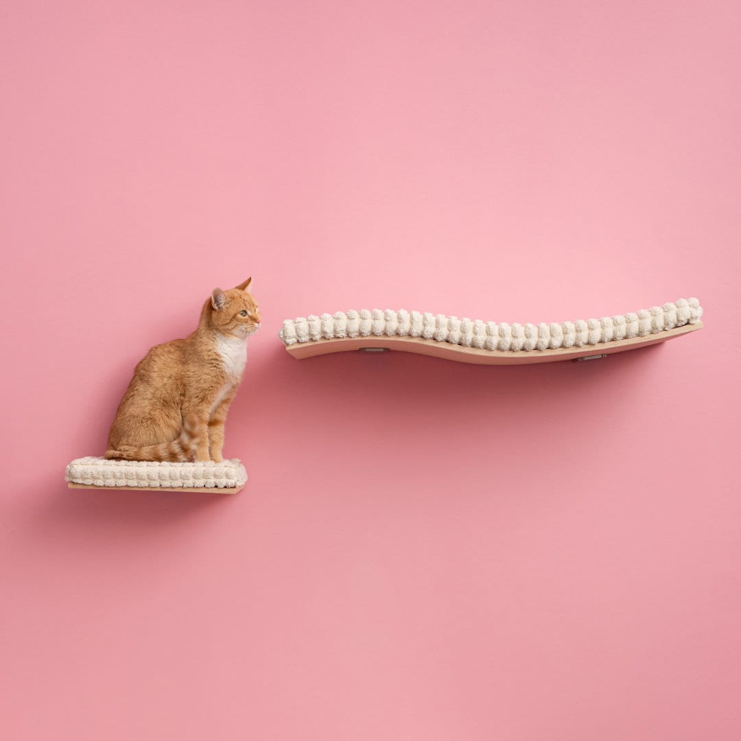 Modern Beech Cat Wall Set Bed & Step - Climbing Furniture