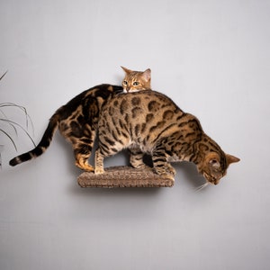 Cat Stair, Cat Wall Furniture, Cat Step, Wall Mounted Cat Shelf, Cat Window Perch, Cat Shelf, Cat Bridge