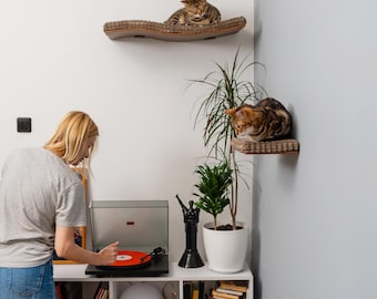 Handmade Beech Cat Wall Shelves: Modern Cat Bed & Step Set