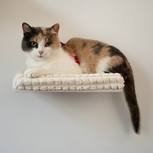 Escalones para gatos para la pared, estantes para gatos, muebles para gatos, perchas para gatos, estantes de pared para gatos, perchas para gatos para ventanas, muros de escalada para gatos, puentes para gatos, escaleras para gatos