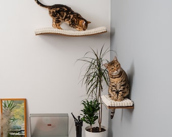 Modern Beech Cat Wall Shelf Set: Cat Bed & Step