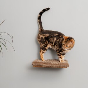 Cat Steps For Wall, Cat Furniture, Сat Bridge, Wall Mounted Cat Shelf, Cat Window Perch, Cat Shelf, Cat Stair