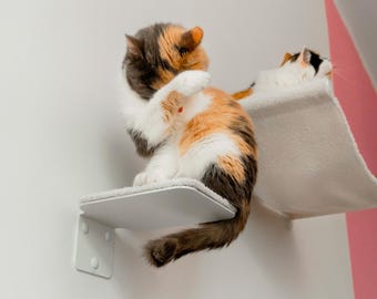 Cat Wall Steps to Hammock, Modern Cat Climbing Furniture