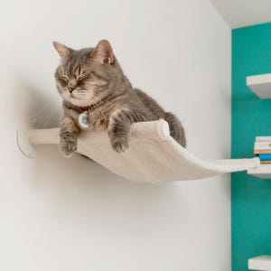 Cat Hammock, Cat Perch, Cat Wall Furniture, Cat Hammock Bed, Cat Wall, Cat Wall Shelf, Wall Mounted Cat, Floating Cat Bed