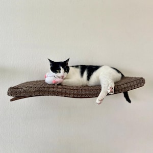 Cat Mounted Shelf, Floating Shelves, Cat Wall Furniture, Cat Bed, Cat Shelf, Cat Climbing Wall, Modern Cat Furniture, Cat Perch