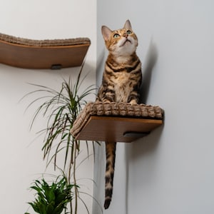 猫用壁掛け家具、猫用壁掛けステップ、猫用ブリッジ、猫用階段、猫用壁掛け棚、猫用窓用止まり木、猫用棚、猫用ベッド