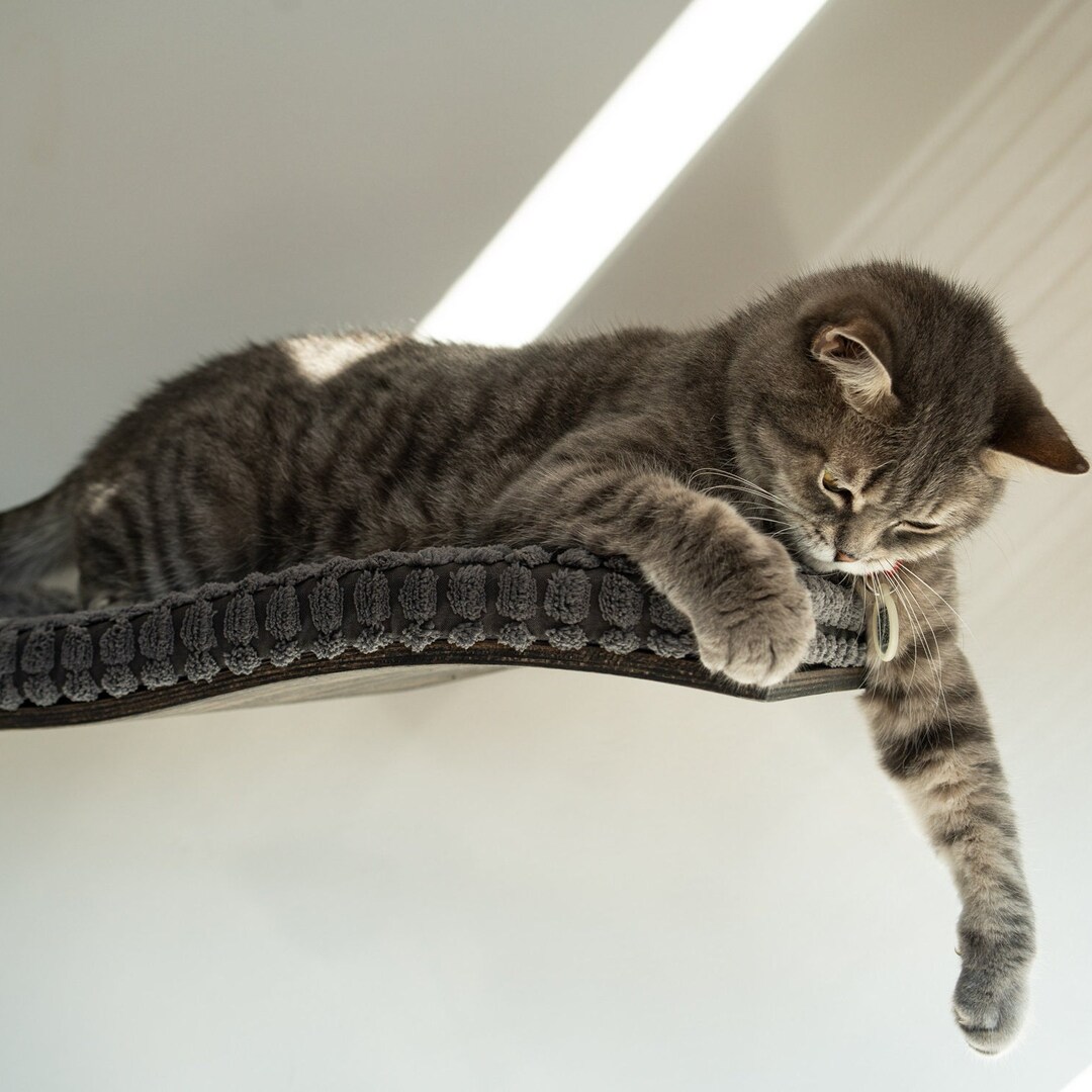 Floating Shelves, Cat Wall Furniture, Wall Mounted Shelf, Cat Wall Shelf, Cat Shelves, Cat Bed