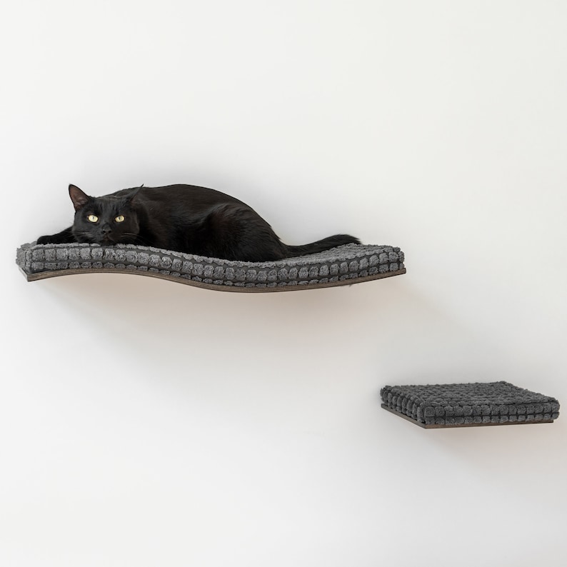 Wall Mounted Cat Shelves: Beech Wood Cat Perch & Steps - Etsy