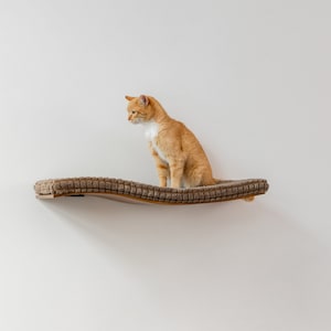 Cat Wall Furniture, Wall Mounted Cat, Cat Wall Shelf, Cat Bed, Cat Cave, Cat Climbing Wall, Cat Window Perch, Cat Shelf
