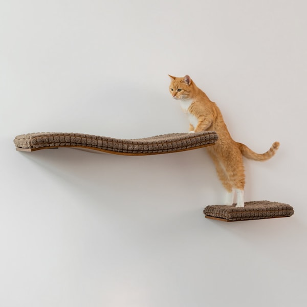 Wall Mounted Cat Shelves: Beech Wood Cat Perch & Steps