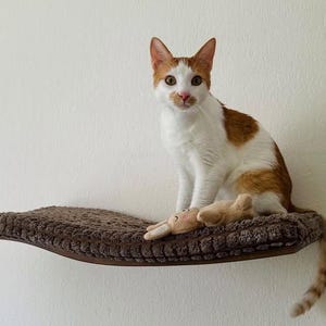 Cat Mounted Shelf, Floating Shelves, Cat Wall Furniture, Cat Bed, Cat Shelf, Cat Climbing Wall, Modern Cat Furniture, Cat Perch