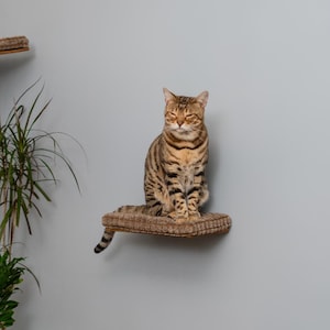 Cat Steps For Wall, Cat Furniture, Сat Bridge, Wall Mounted Cat Shelf, Cat Window Perch, Cat Shelf, Cat Stair