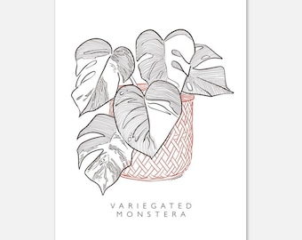 Planta en maceta Monstera abigarrada, tamaño postal, impresión de arte, dibujo digital detallado, decoración de arte botánico