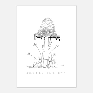May include: A monochrome illustration of a shaggy ink cap mushroom and a snail. The mushroom's cap is textured with dripping ink. The text "SHAGGY INK CAP" is printed beneath the image.