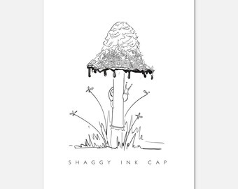 Shaggy Inkcap Mushroom Impresión tamaño postal Dibujo digital detallado Micología Arte Home Office Decoración