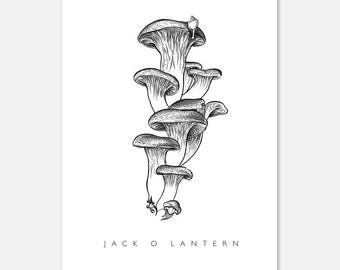 Jack o Lantern Mushroom Postal-Sized Art Print Arte Digital Detallado Micología Arte Línea Fina Bellas Artes Home Office Decoración
