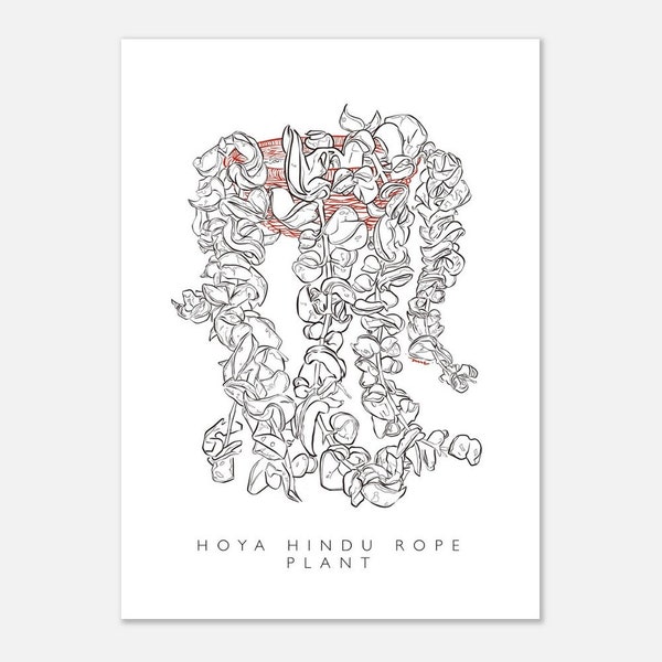 Hoya Hindu Rope Potted Plant Postcard-Sized Print Art Detailed Digital Drawing Botanical Plant Art Decor