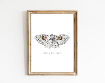 Búho indio polilla arte impresión línea fina ilustración minimalista pared arte decoración del hogar cartel pared arte impresiones obras de arte para paredes línea arte bellas artes