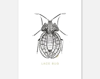 Ilustración de insecto de encaje impresión negro blanco insecto pared arte intrincado dibujo digital decoración moderna del hogar arte de oficina único