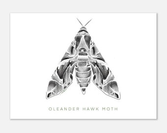Oleander Hawk Moth Fine Line Postal Impresión Polilla Ilustración Minimalista Arte de la pared Monocromo Decoración del hogar Póster Impresiones de arte de la pared