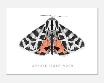 Indio adornado tigre polilla postal impresión ilustración minimalista pared arte decoración del hogar cartel pared arte impresiones arte lineal