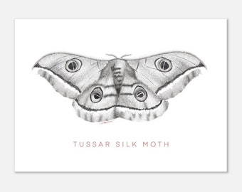 Tussar Silk Moth Fine Line Postal Impresión Ilustración Minimalista Arte de pared Monocromo Decoración del hogar Póster en blanco y negro Impresiones de arte de pared