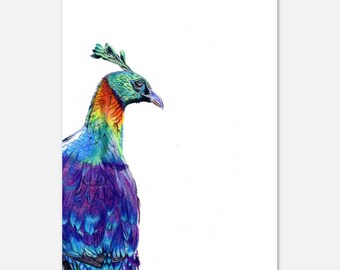 Pájaro monal del Himalaya Impresión tamaño postal Vida silvestre Bellas artes Decoración de la pared Lápiz de color Póster Realismo Arte de la pared Impresiones Arte lineal