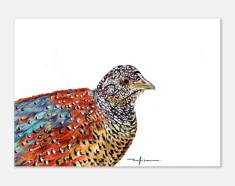 Pintado Spurfowl Bird postal tamaño impresión vida silvestre ilustración bellas artes decoración de la pared cartel realismo arte pared arte impresiones color lápiz arte