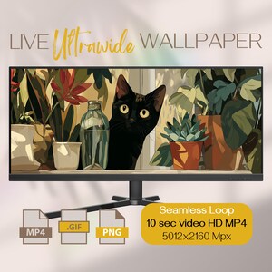 May include: A computer monitor shows a digital illustration of a black cat looking through a window, with potted plants. The text "LIVE Ultrawide WALLPAPER" is at the top. Below are file type icons for MP4, GIF, and PNG, along with video specifications.