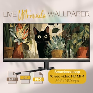 May include: An ultrawide monitor displays a black cat amongst plants, with the text 'LIVE Ultrawide WALLPAPER'. The screen shows a seamless loop video in HD MP4 format. File formats include MP4, GIF, and PNG.