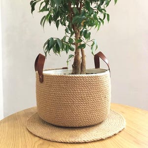 Może przedstawiać: Fikus w plecionym koszu z juty z brązowymi skórzanymi uchwytami. Kosz stoi na pasującej macie z juty, wszystko na drewnianym stole. Drzewo ma bujne zielone liście i brązowy pień.