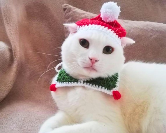 Customizable Crochet Pet Costume Strawberry Knit Bucket Hat for Cat Knitted Accessories Handmade Cat Clothes Pet Accessories Etsy UK