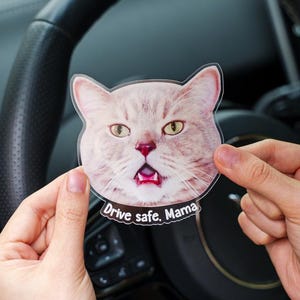 Drive Safe Dog Mom, Visage de chat personnalisé, Décoration acrylique à clip pour voiture avec photo, Cadeau photo personnalisé pour animaux de compagnie, Bouches d&#39;aération de voiture, Cadeau commémoratif d&#39;animaux de compagnie