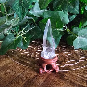 Lemurian Seed Quartz Crystal